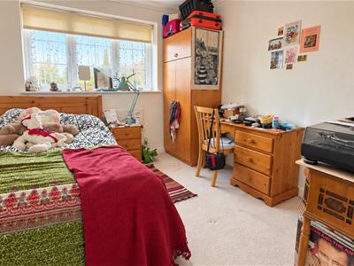 Picture 15